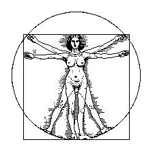 'A pre-op transgender vitruvian woman.'